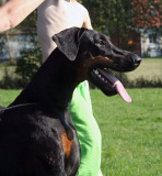 mia-sept-2011-145k