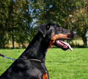 mia-sept-2011-173k