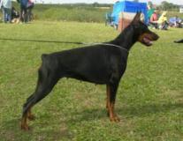 i0280rp