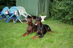 22-08-09-foto-394_k