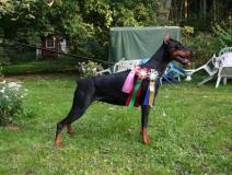 lund-20-09-09-036