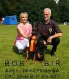 show-4-aug.BIR_