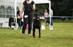DV-Siger2018-080-3
