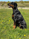 IMG-20230507-WA00142