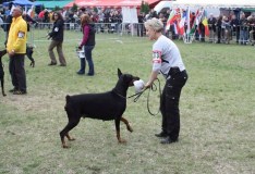 idc-2010-femida