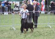 idc-2010-femida1