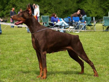 geraldina-e1289030041706