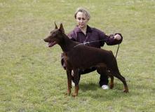 golda-show3-09_k