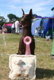 gotland_04-05-09-050