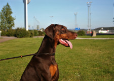 IMG_5681-2