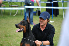 IDC-2014-p-Ulisse