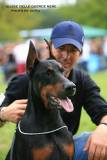 idc-2014-ulisse-